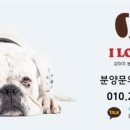 둔산동물병원 이미지