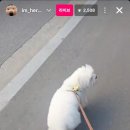 영웅님 생각대로 하시면 됩니다 이미지