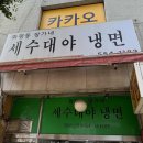 세수대야동까스 이미지