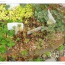 놀부농장 이미지