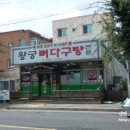 1982돈이돈이 이미지