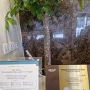 유앤미치과의원 이미지