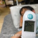 선미유치원 | 독감 집콕 시간, 윙크가 있어 다행이었어요