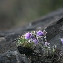 명장2동-21 이미지