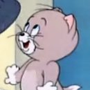 놀면묘하냥 고양이카페 이미지