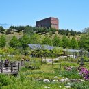 무릉도원 이미지