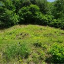 삼거2리 마을회관 이미지