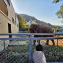작은동물원수족관 | 중국 우시 아이들과 가볼 만한 곳 🐅우시동물원과 해양수족관 후기