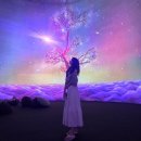무한공간 | 속초 가볼만한곳, 내돈내산 미디어아트 '뮤지엄엑스' 솔직후기 (가격/할인/AI패키지차이)