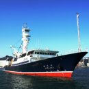 남태평양참치 이미지