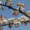 은현농장 이미지