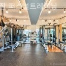 몸가짐 퍼스널트레이닝 이미지