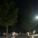 진밭골 야영장 티스토리
