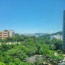 교촌치킨 춘천교대점 이미지