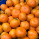 동식농장 이미지