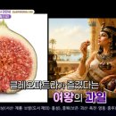 으뜸농장 네이버블로그