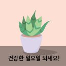 신광동약국 티스토리