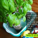 식탁위의텃밭 이미지