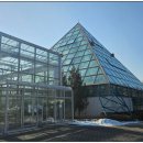 엔젤 식물원 이미지