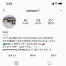 에스(S)게러지 이미지