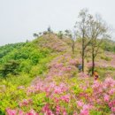 광양카랜드 이미지