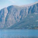 노르웨이의 숲 이미지