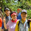 가평 &#39;잣향기푸른숲&#39; 버스투어 종합(240428) 이미지