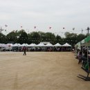 행주초등학교 이미지