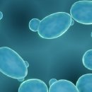 골든약국 이미지