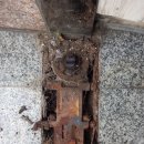 노벨라사 이미지