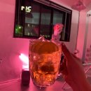 해브피피(HavePP) 이미지