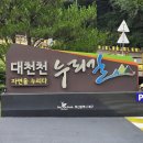 화명대천천 이미지