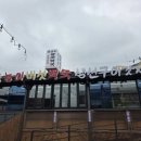 굴뚝능이버섯백숙 네이버블로그