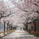 동삼1동-1 이미지