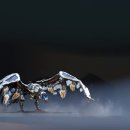 Horizon Zero Dawn Animation Reel 이미지