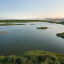 하단동1209 이미지