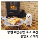 puppy dog | 창원 애견동반 숙소 휴일도스테이 강아지찜질방 창원갈만한곳