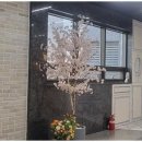 자이세탁 이미지