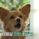 정재원농장 이미지