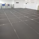 놀러왕왕왕 이미지