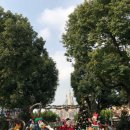 다온주유소 | ꒰১ 상하이 디즈니랜드 ໒꒱