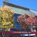 송파유정유치원 이미지