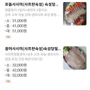 오늘도사시미 - 마포구 성암로 28 | 오늘도사시미
