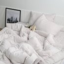 주식회사 비비드 이미지