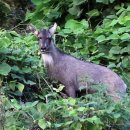 서울성서초등학교 이미지