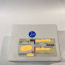 담음 | 트로피코 싱싱담음샐러드 리코타치즈 샐러드 후기