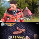 마리텔 서울신문