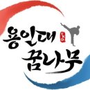 용인대 꿈나무태권도장 이미지