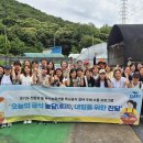 수원다래푸드 경기도뉴스