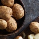 전복돼지 이미지